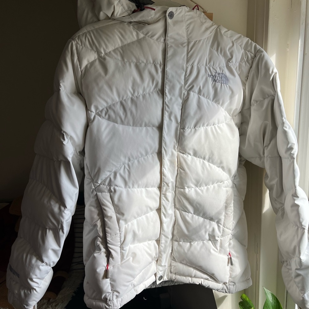 The north face 700 Ski jacket